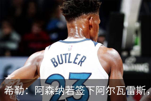希勒：阿森纳若签下阿尔瓦雷斯，英超争冠将失悬念